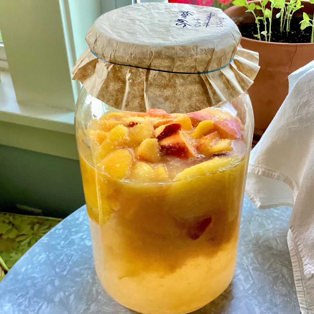 How to Make Fermented Drinks PRESERVING TODAY