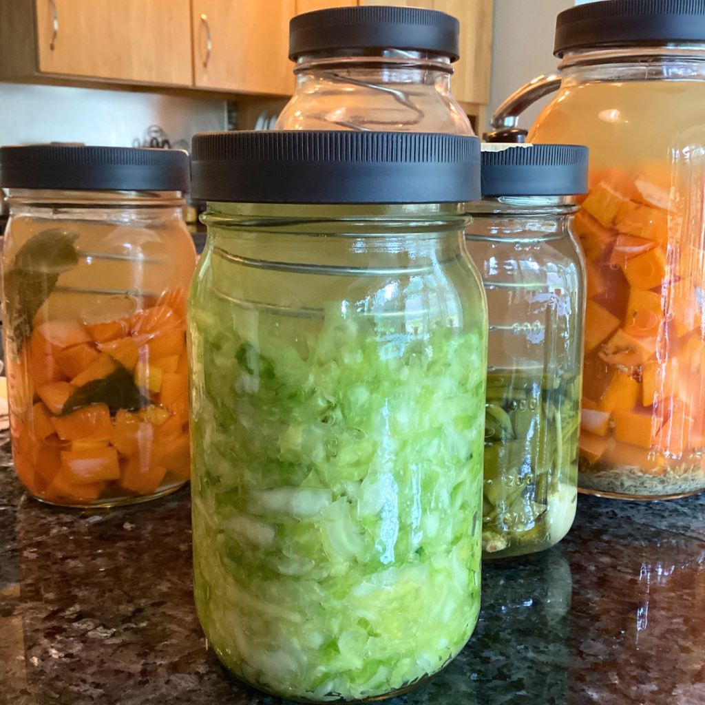 five jars of different vegetables fermenting