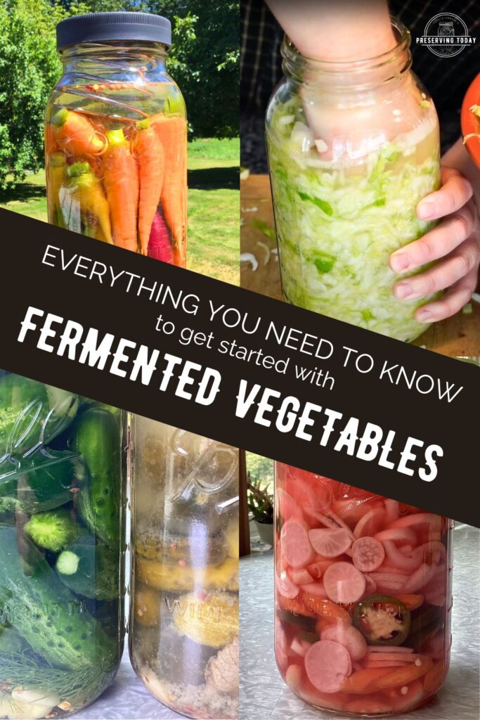 Everything you need to know to get started with fermented vegetables, right here in this post from Preserving Today! #fermentation #fermentedvegetables #probiotics #guthealth #livingfood #homemade
