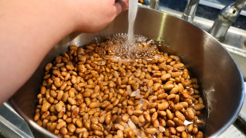 Covering soaked pinto beans with water to prepare for pressure canning beans.
