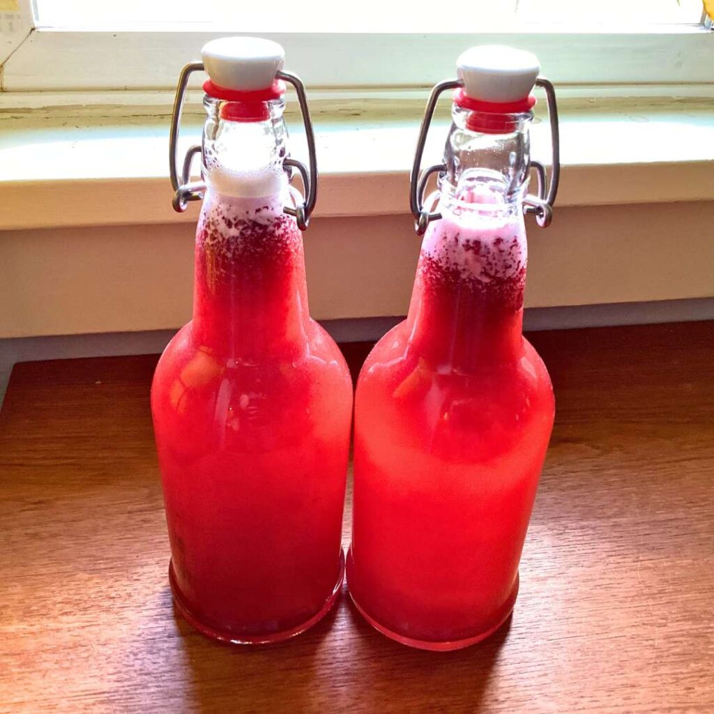 Fermented drinks raspberry kvass.
