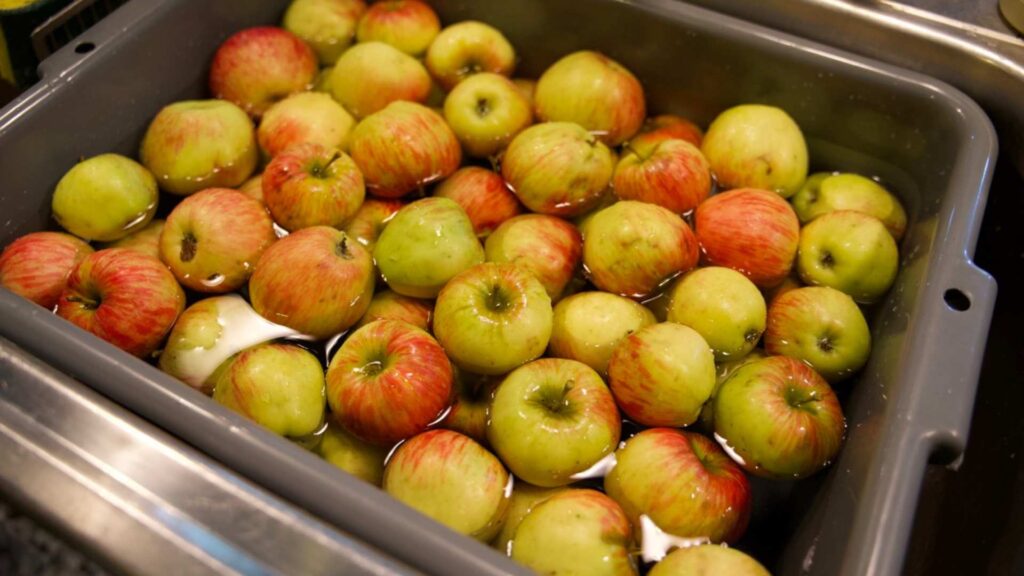 closeup of honey crisp apples being washed in the sink