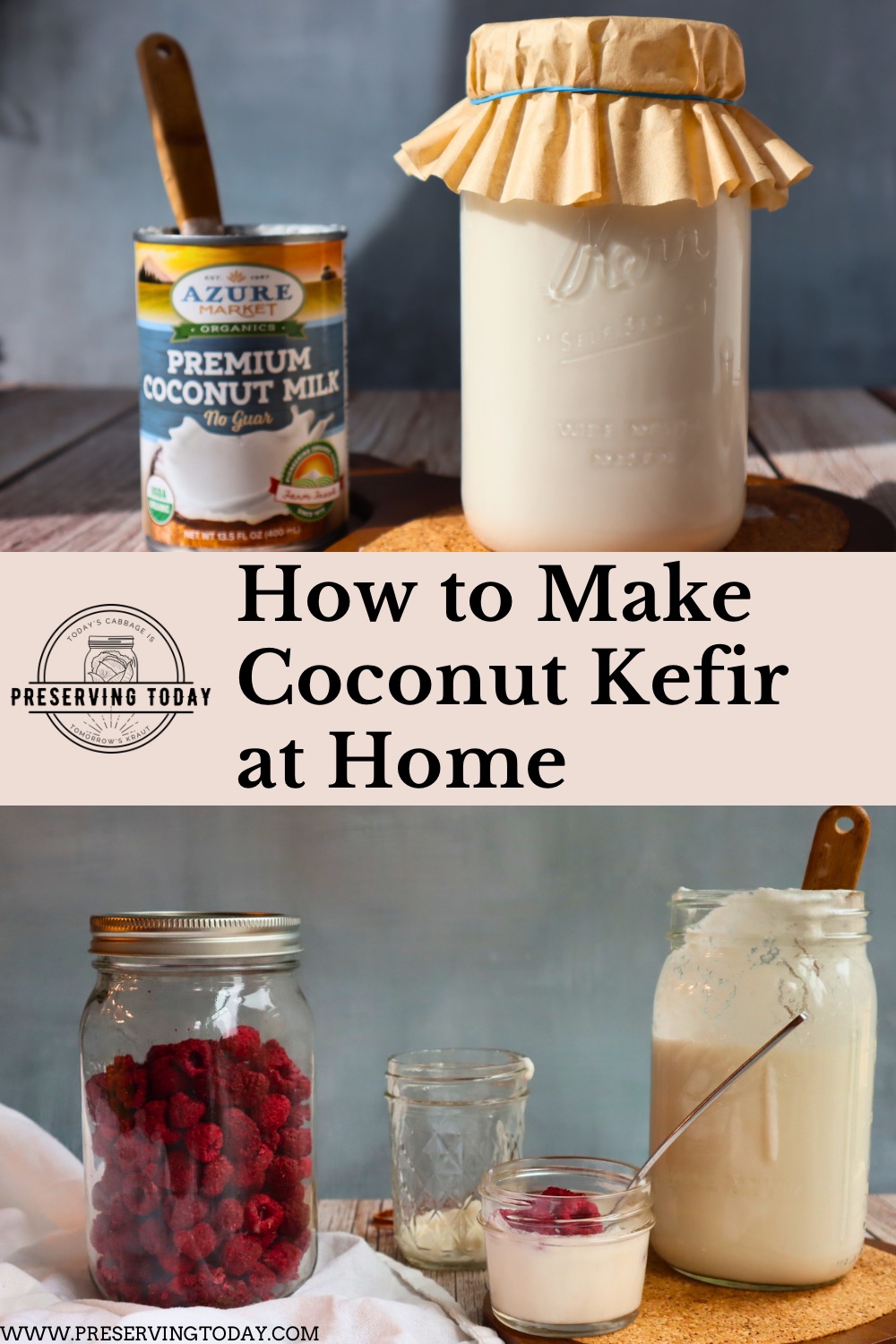 Coconut Kefir Recipe How to Make Coconut Kefir at Home PRESERVING TODAY
