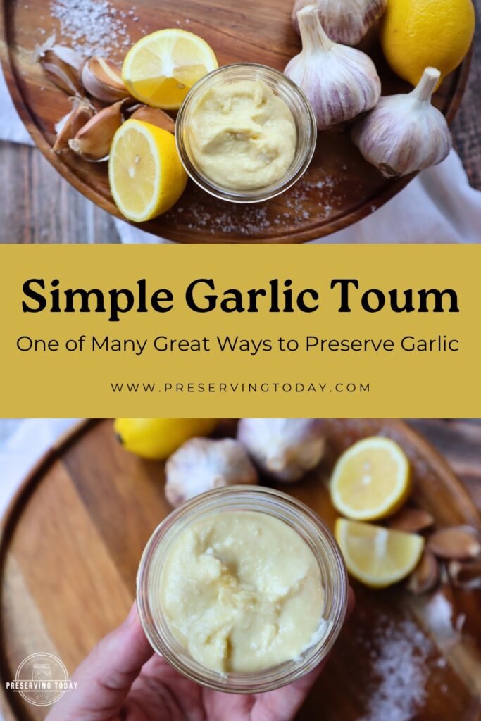 Garlic Toum, a great way to preserve garlic. #toum #garlic #foodpreservation #preservingtoday