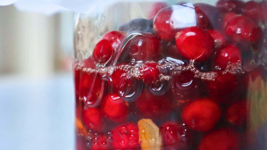 Bubbles on the surface of this jar of honey fermented spiced cranberries.