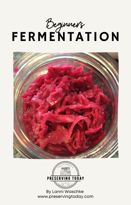 Beginners Fermentation Quick Guide from Preserving Today